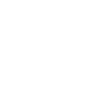 icons8 shield 96 1